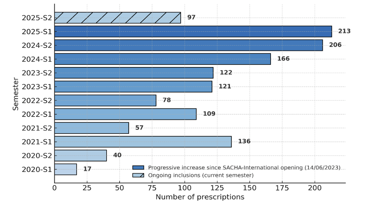Children playing in a field